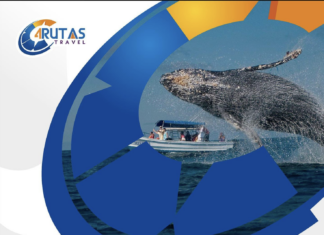 TOUR BALLENAS JOROBADA + CAYO LEVANTADO