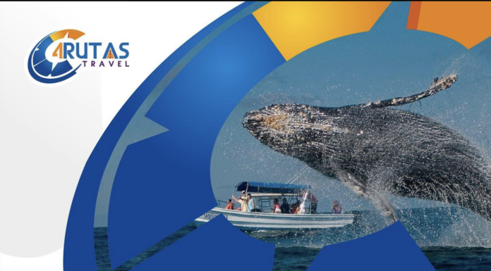 TOUR BALLENAS JOROBADA + CAYO LEVANTADO