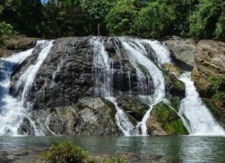 Senado aprueba iniciativas en favor del turismo