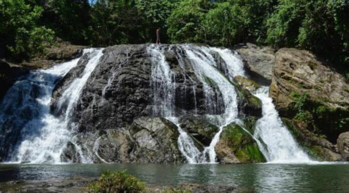 Senado aprueba iniciativas en favor del turismo