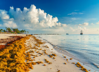 Cumbre del Caribe acuerda enfrentar el sargazo como una emergencia regional
