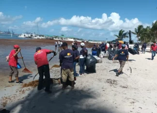 Gobierno realiza operativo de limpieza para retirar sargazo en la playa de Boca Chica