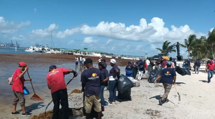 Gobierno realiza operativo de limpieza para retirar sargazo en la playa de Boca Chica