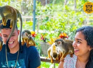 Incluyen excursión Monkeyland entre mejores experiencias