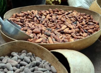 El agroturismo diversifica la oferta turística dominicana