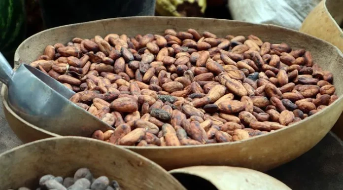 El agroturismo diversifica la oferta turística dominicana