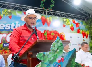 Celebran Primer Festival de Fresas en Constanza