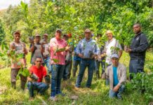 Ejecutivos de Cacao Green realizan jornada de reforestación antes de iniciar el desarrollo del proyecto