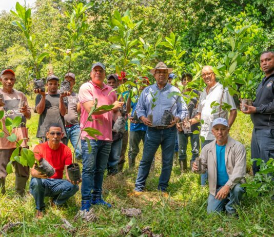 Ejecutivos de Cacao Green realizan jornada de reforestación antes de iniciar el desarrollo del proyecto