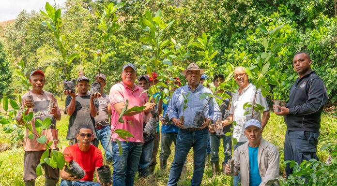 Ejecutivos de Cacao Green realizan jornada de reforestación antes de iniciar el desarrollo del proyecto